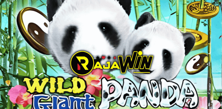 rajawin303